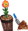 Flower Pot