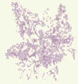 Lilac Blind Foundation